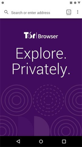 tor安卓中文（Tor Browser）1