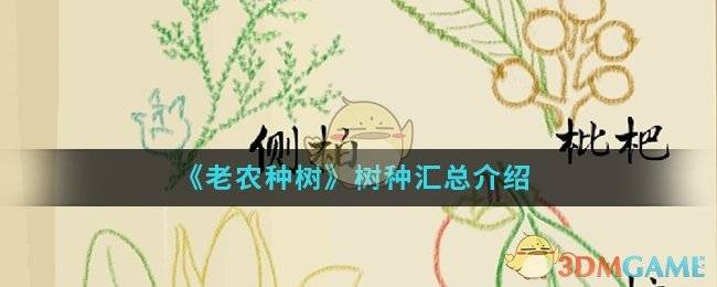 《老农种树》树种汇总介绍