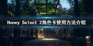 《甜心选择2》中如何获得，使用角色卡攻略