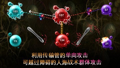 繁殖战争2中文版2