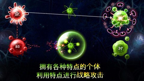 繁殖战争2中文版4