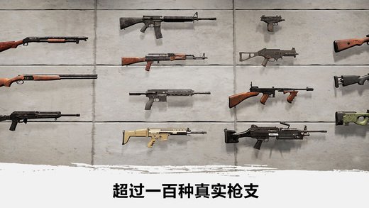 绝地吃鸡ios版（PUBG MOBILE）2