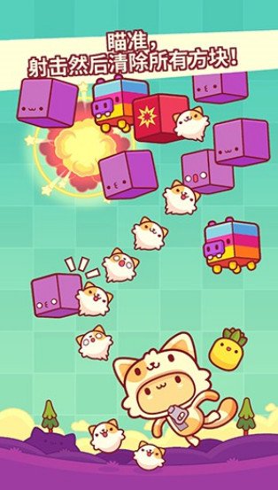 皮皮猫3