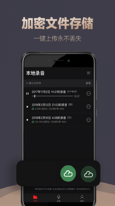 专业录音app5