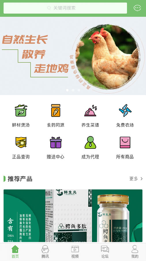 东方蓝鳄1