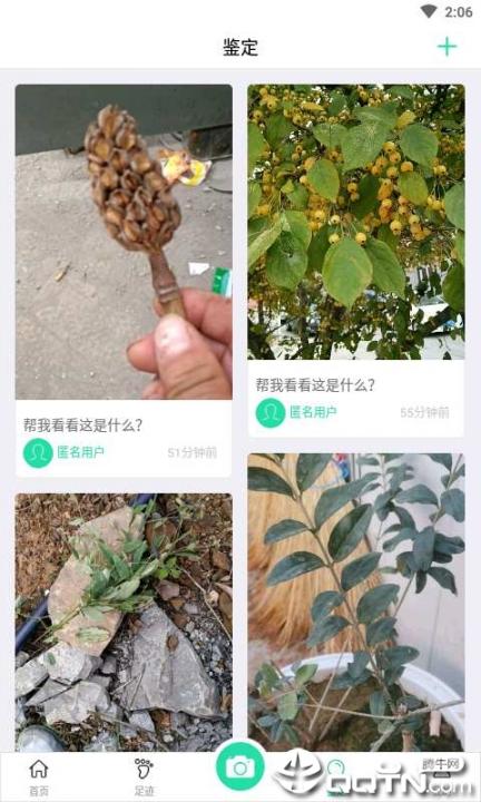 掌上植物网2