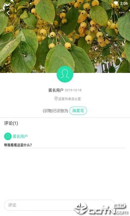 掌上植物网4