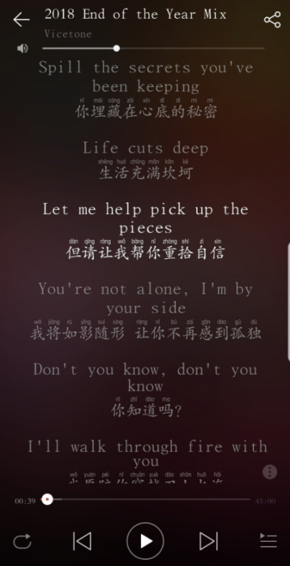 拼音字体（Custom Font）4