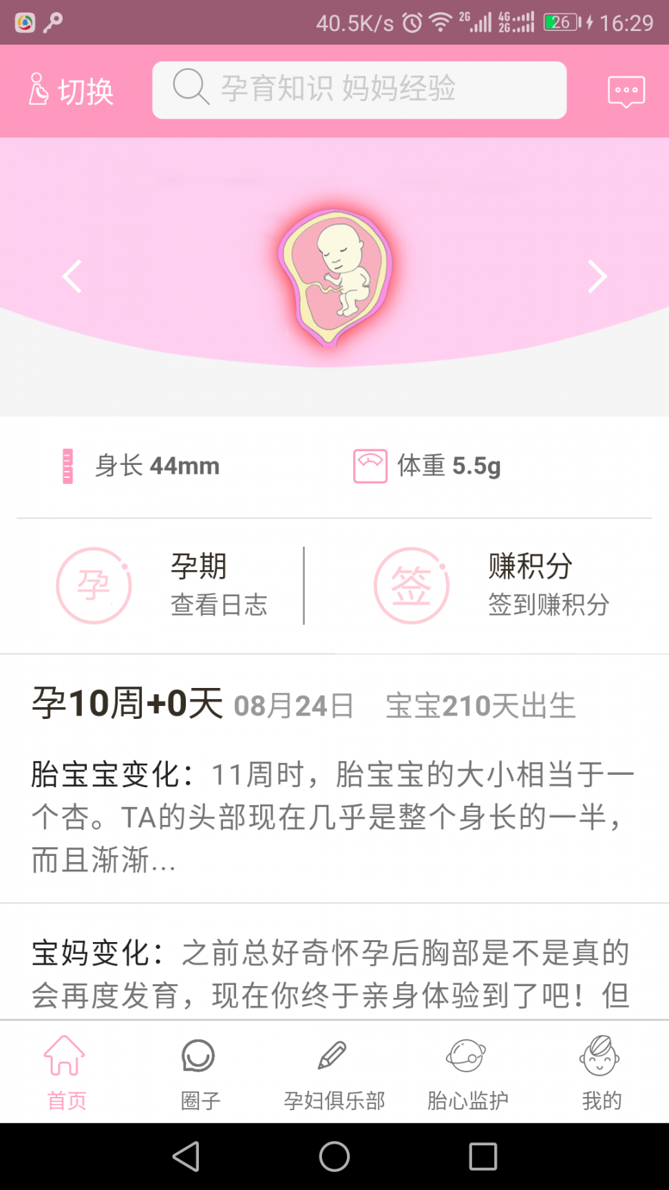 芒果孕味2