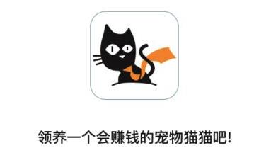 宠猫社区app