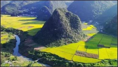 大蜂旅游