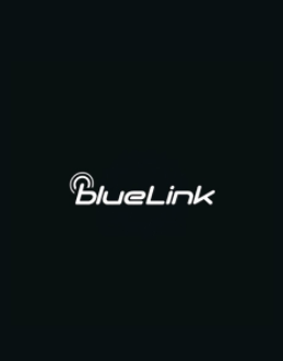 blueLink app