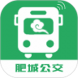 肥城掌上公交app