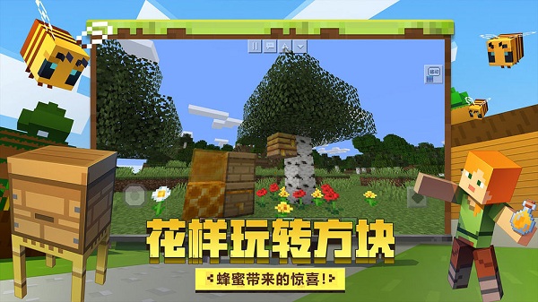 我的世界我的伙伴4
