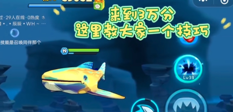 鱼吃鱼正版