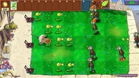 PVZ指导版