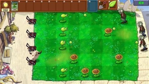 PVZ指导版