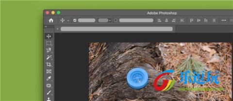 Photoshop