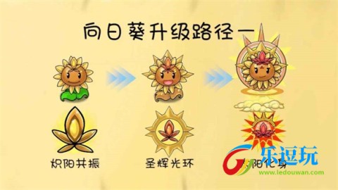 植物大战僵尸共生版