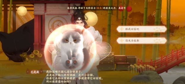 忘川风华录喵居问答谜底大全 猫灵领养及培育技巧[多图]