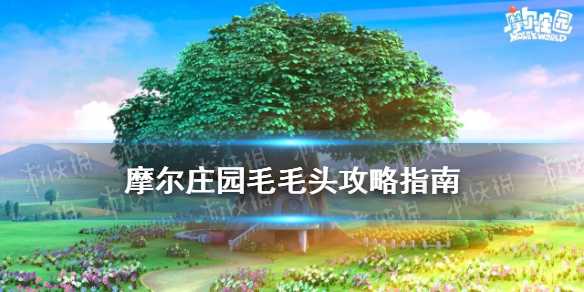 《摩尔庄园》毛毛头攻略指南 毛毛头翻译解读