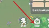 《摩尔庄园手游》精灵等级分布 精灵分布介绍
