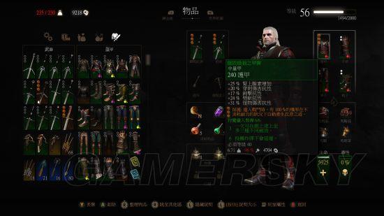 巫师3颜值最高的套装，巫师3师匠级套装大全