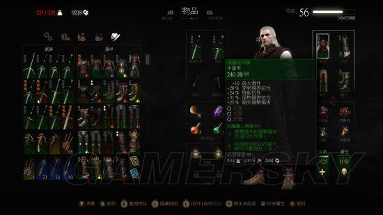 巫师3颜值最高的套装，巫师3师匠级套装大全