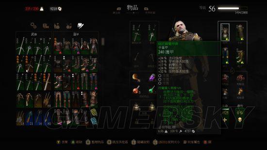 巫师3颜值最高的套装，巫师3师匠级套装大全