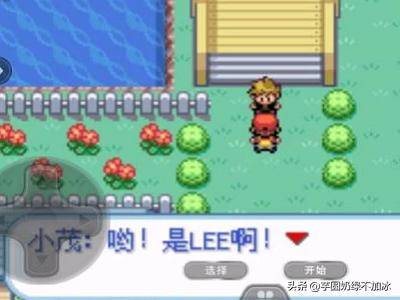 口袋妖怪火红攻略，口袋妖怪火红一周目华蓝市到枯叶市攻略