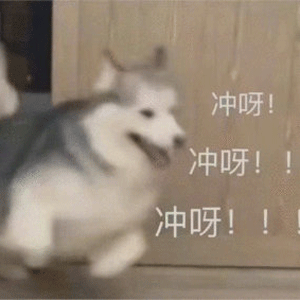 王者荣耀s25射手排行，王者荣耀射手哪个最值得练