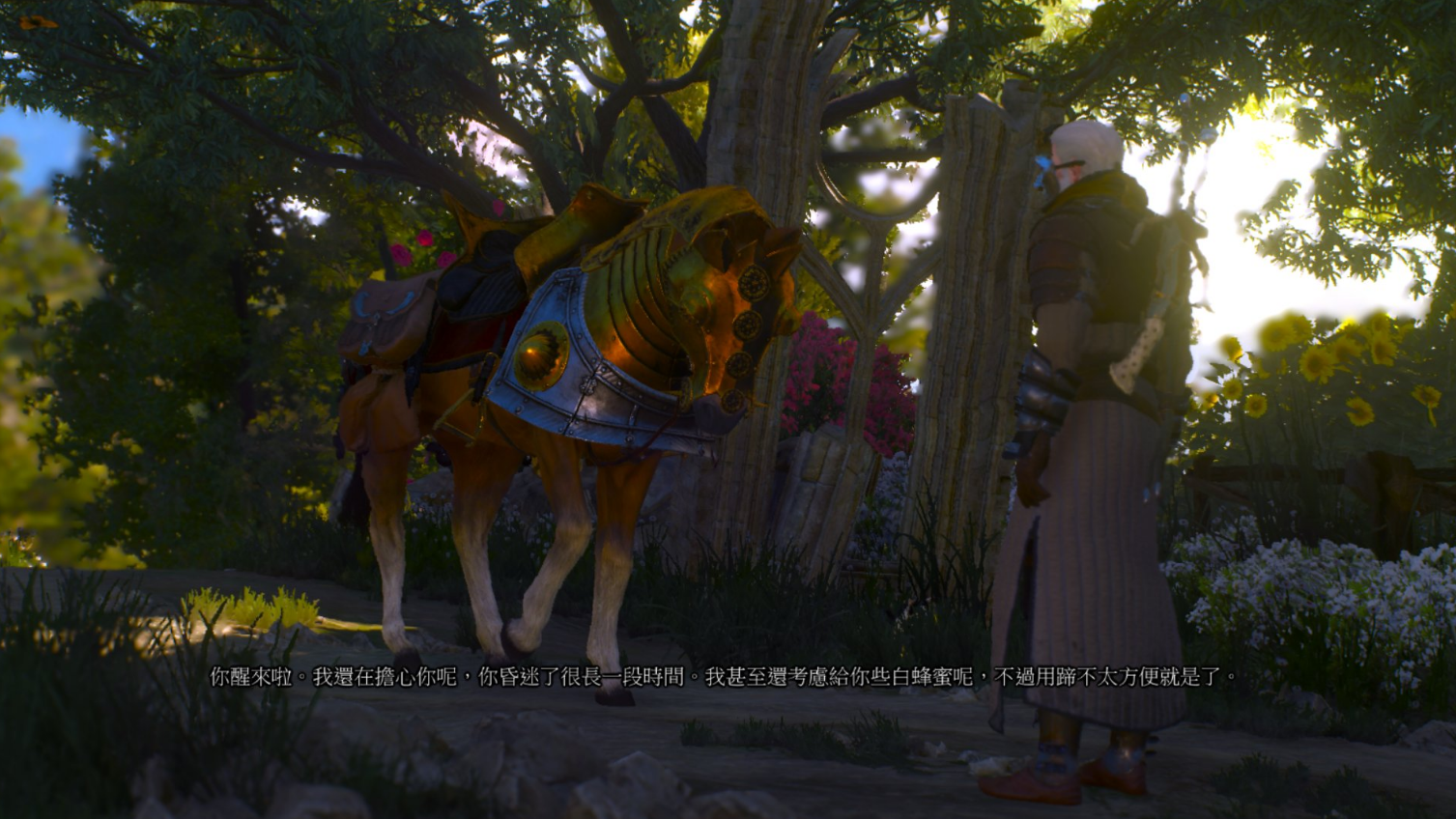 巫师3与叶奈法上船任务怎么动不了？巫师3奈叶法上船bug及关键选择