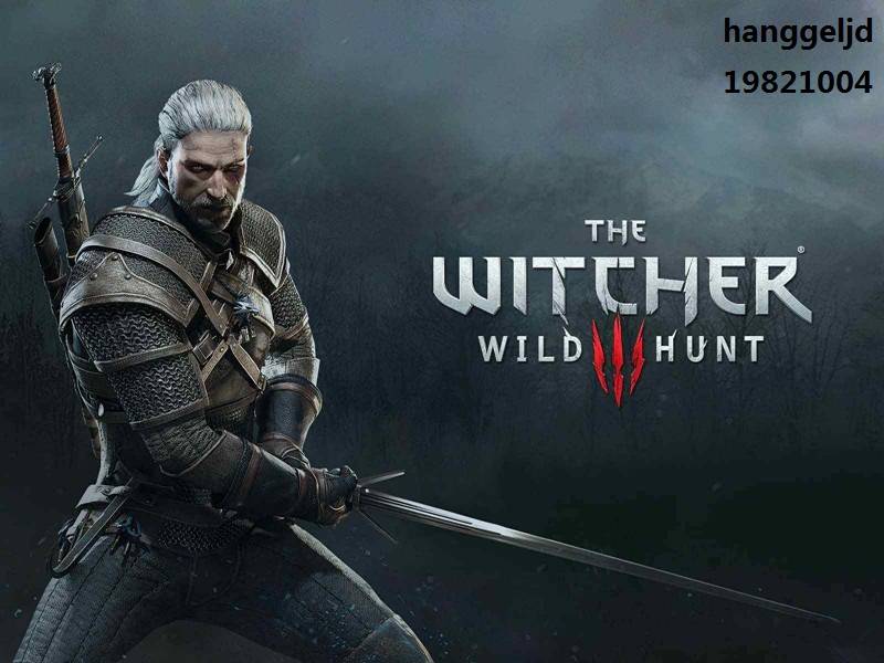 巫师3与叶奈法上船任务怎么动不了？巫师3奈叶法上船bug及关键选择