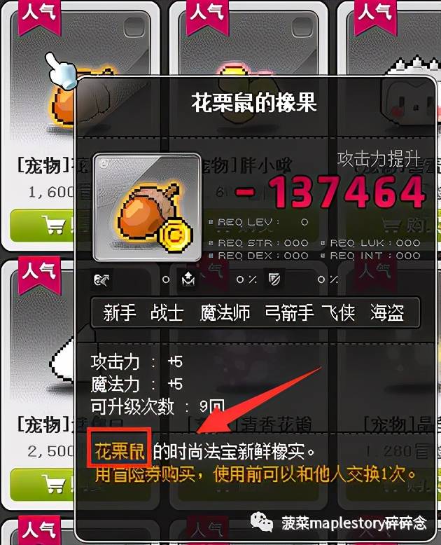 冒险岛宠物3个增益技能，冒险岛宠物可以学几个技能及自动试用增益技能？