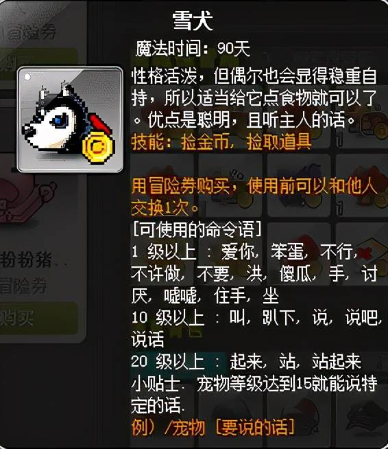 冒险岛宠物3个增益技能，冒险岛宠物可以学几个技能及自动试用增益技能？
