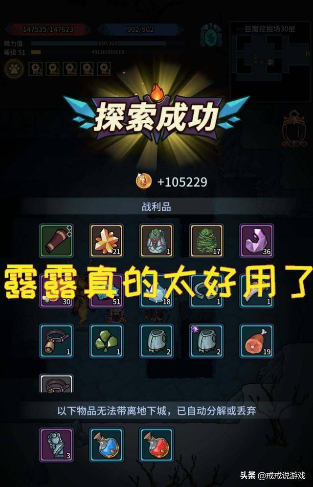 提灯与地下城宠物露露技能搭配,提灯与地下城露露最佳搭配