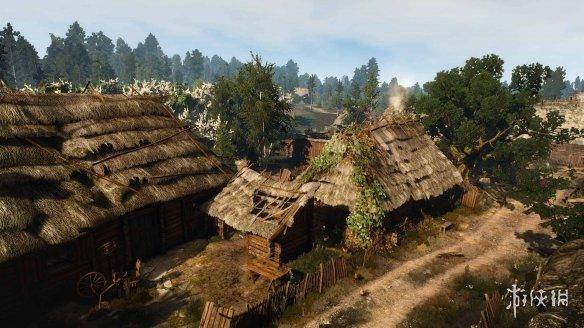 巫师3更新后最佳画质设置，switch巫师3最佳设置