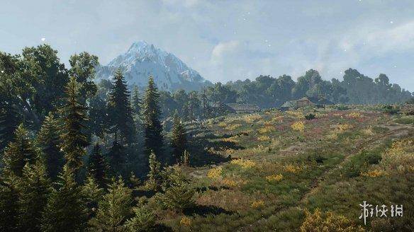 巫师3更新后最佳画质设置，switch巫师3最佳设置