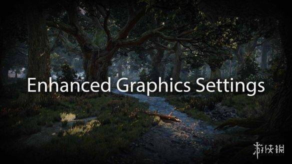 巫师3更新后最佳画质设置，switch巫师3最佳设置