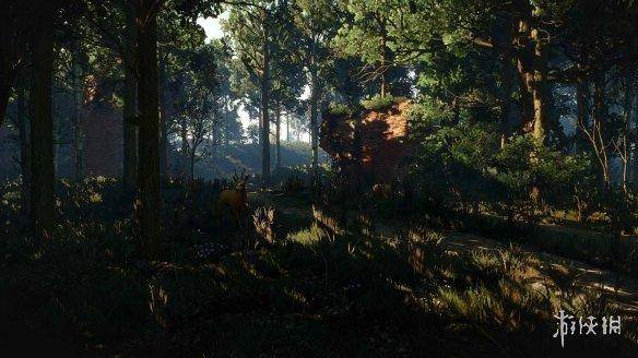 巫师3更新后最佳画质设置，switch巫师3最佳设置