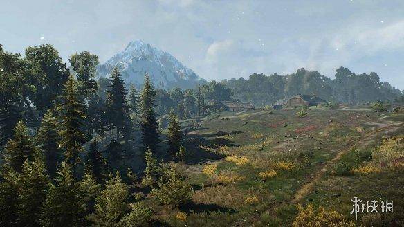 巫师3更新后最佳画质设置，switch巫师3最佳设置