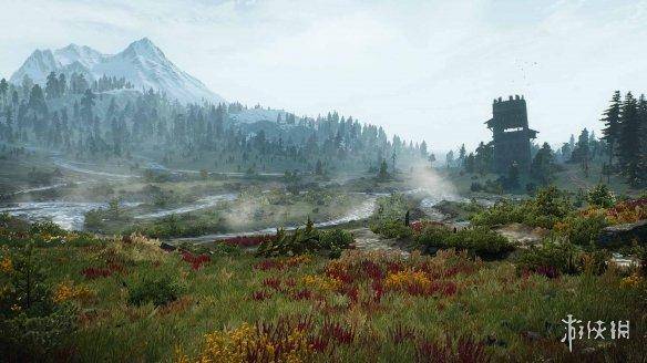 巫师3更新后最佳画质设置，switch巫师3最佳设置