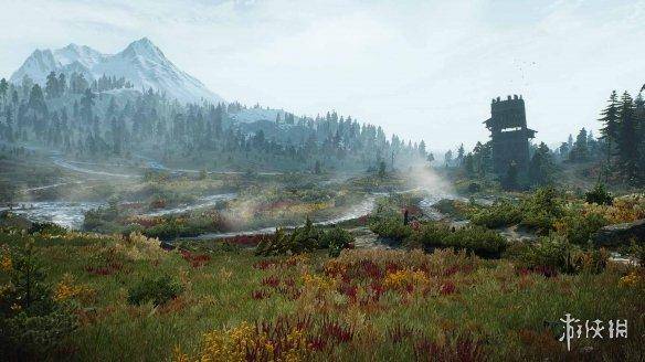 巫师3更新后最佳画质设置，switch巫师3最佳设置