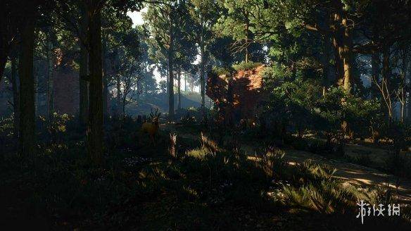 巫师3更新后最佳画质设置，switch巫师3最佳设置