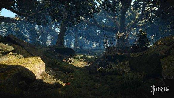 巫师3更新后最佳画质设置，switch巫师3最佳设置
