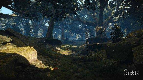 巫师3更新后最佳画质设置，switch巫师3最佳设置