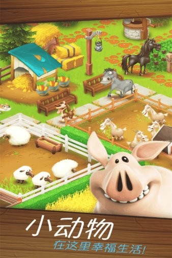 hayday3
